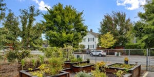 Garden plots outside of Timberline Post Acute