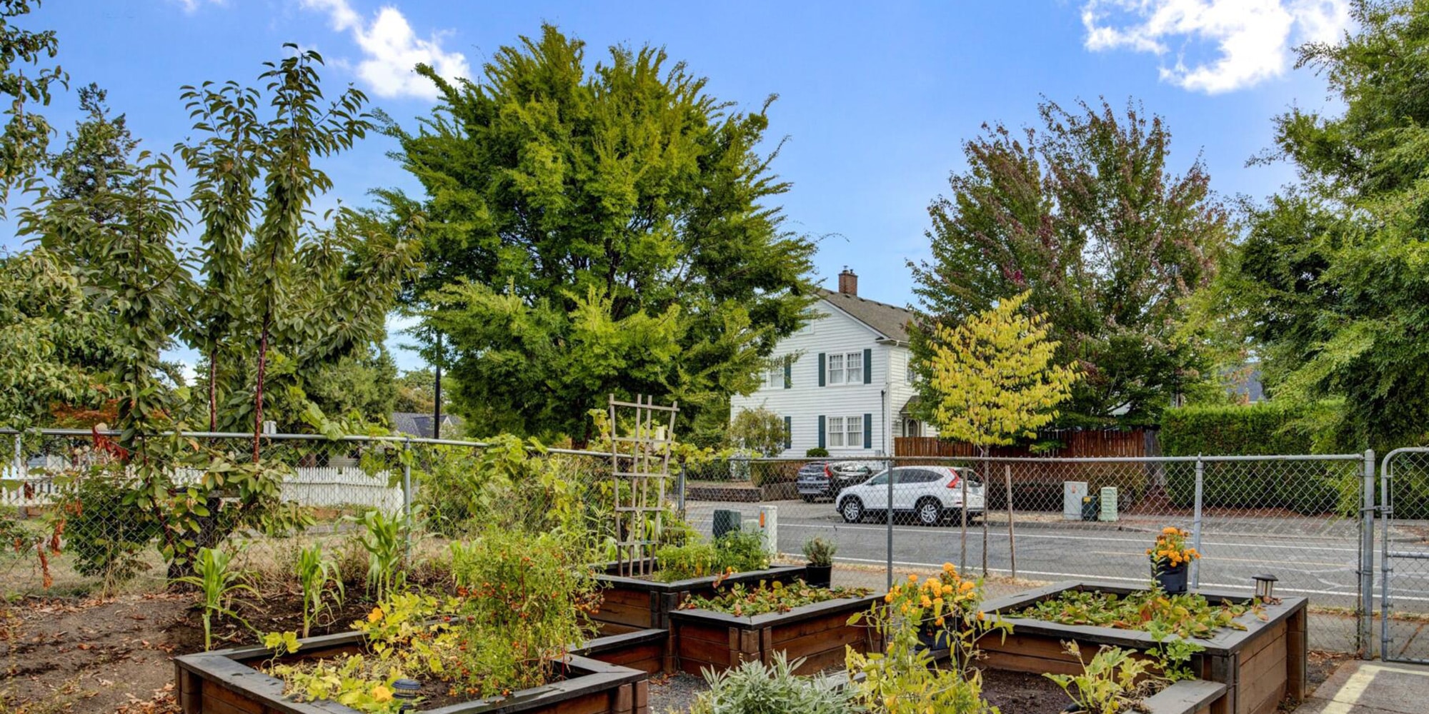 Garden plots outside of Timberline Post Acute